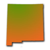NM_Shadow